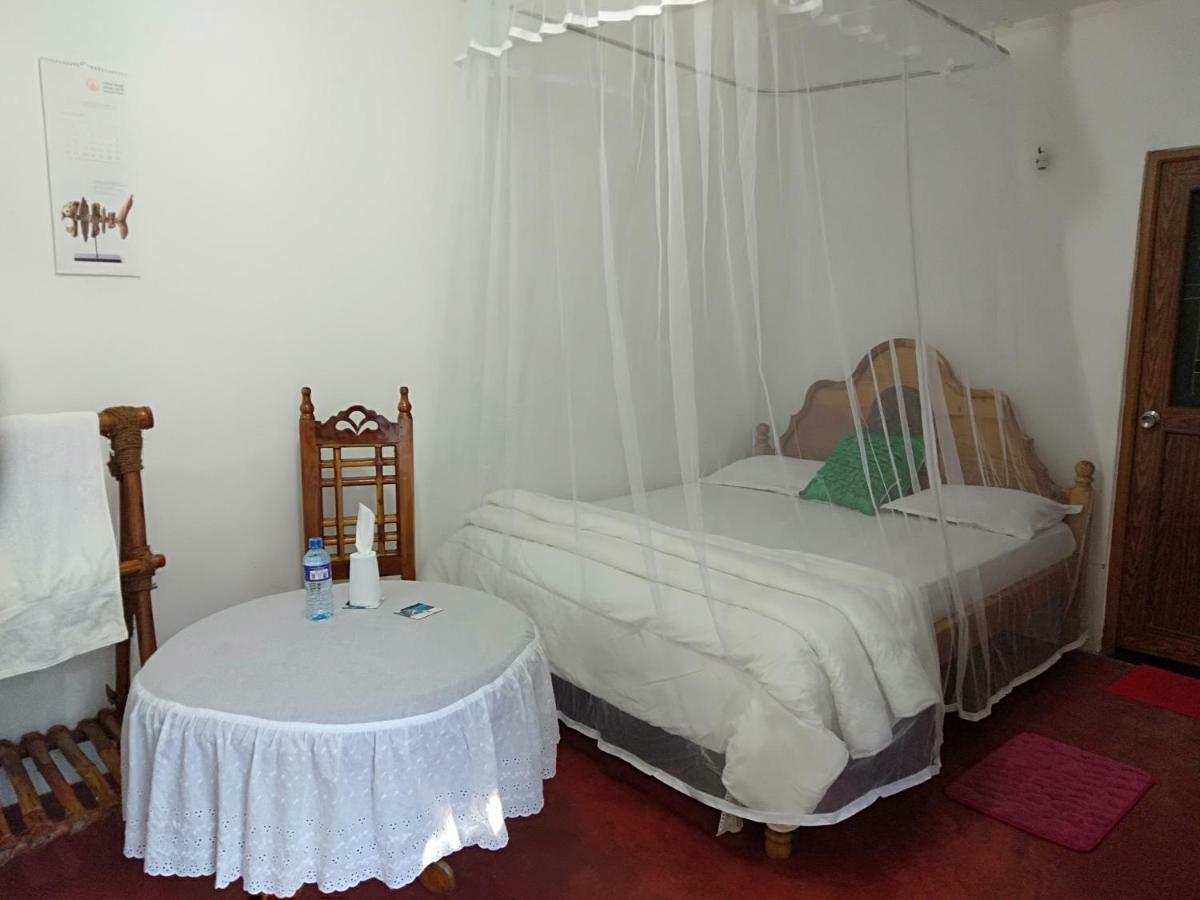Homeaway Homestay 哈顿 外观 照片